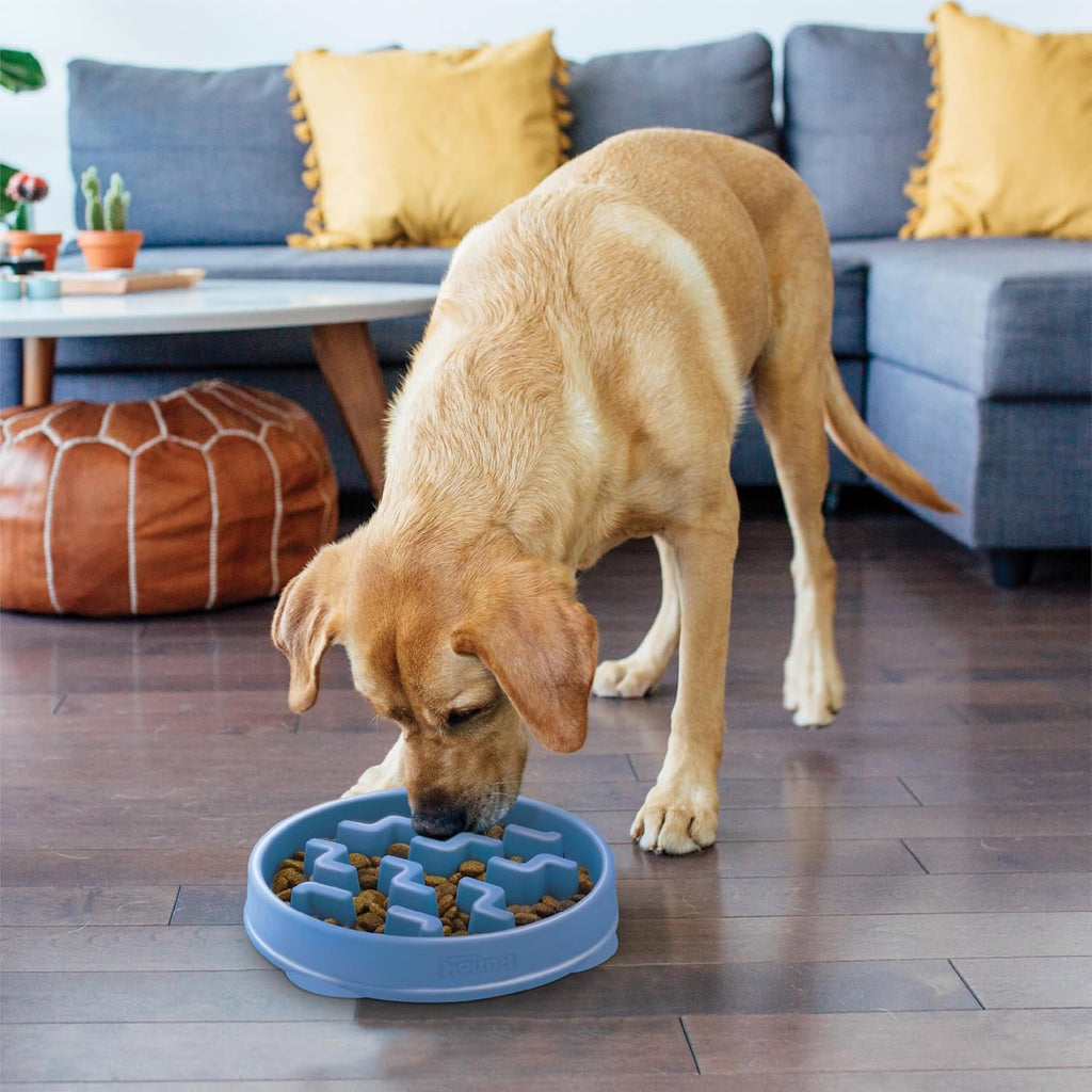 Fun Feeder Slo Bowl – Large 4‑Cup Capacity, Slow Feeding, Medium to Large Dogs, Non‑Slip, Blue, Notch Pattern