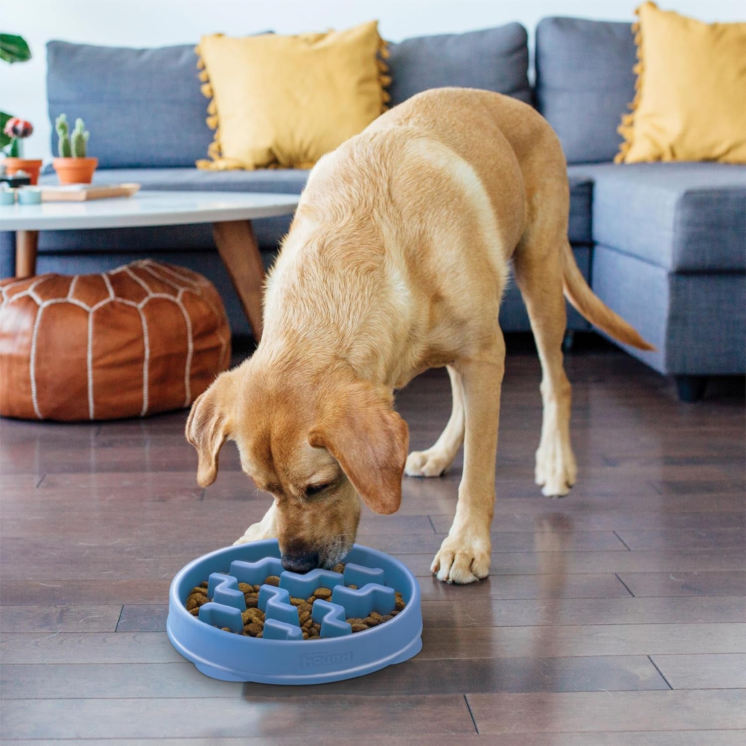 Fun Feeder Slo Bowl – Large 4‑Cup Capacity, Slow Feeding, Medium to Large Dogs, Non‑Slip, Blue, Notch Pattern